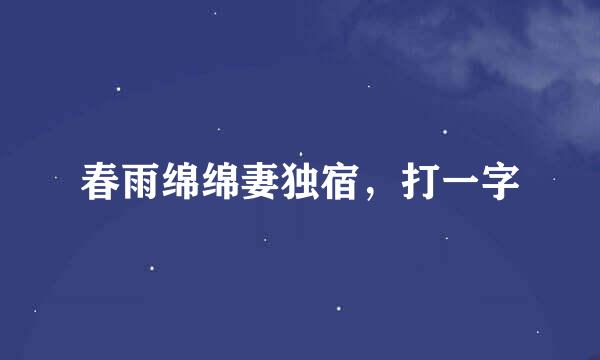 春雨绵绵妻独宿，打一字