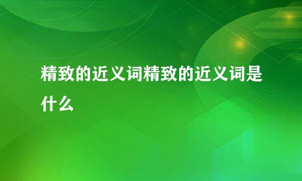 精致的近义词精致的近义词是什么