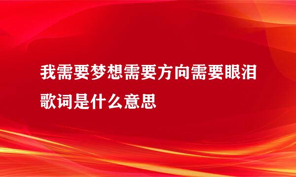 我需要梦想需要方向需要眼泪歌词是什么意思