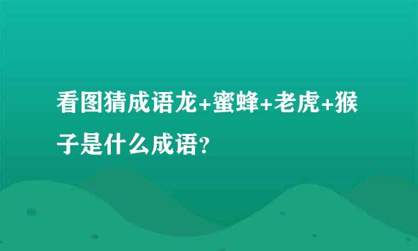 看图猜成语龙+蜜蜂+老虎+猴子是什么成语？