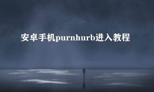 安卓手机purnhurb进入教程