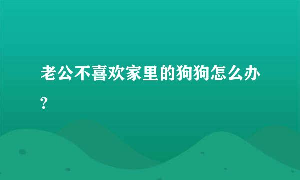 老公不喜欢家里的狗狗怎么办?