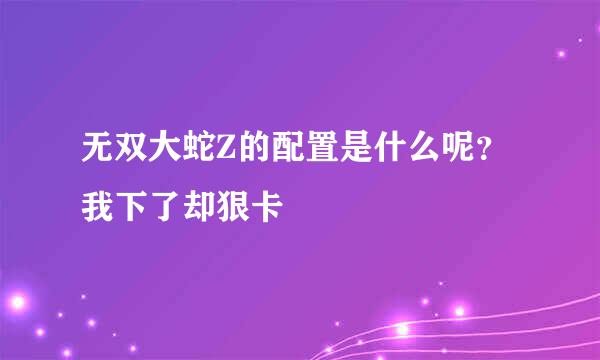 无双大蛇Z的配置是什么呢？我下了却狠卡