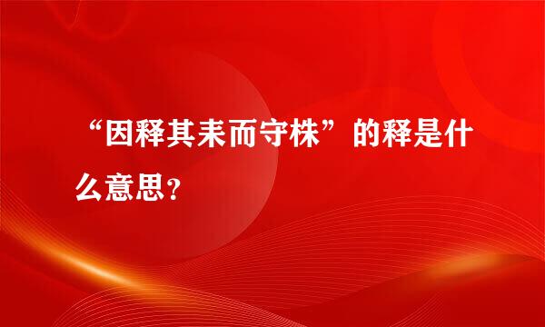 “因释其耒而守株”的释是什么意思？