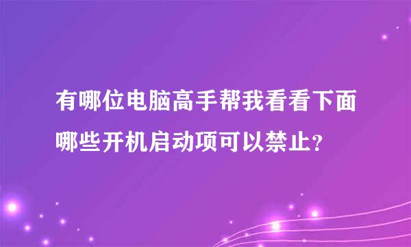 有哪位电脑高手帮我看看下面哪些开机启动项可以禁止？