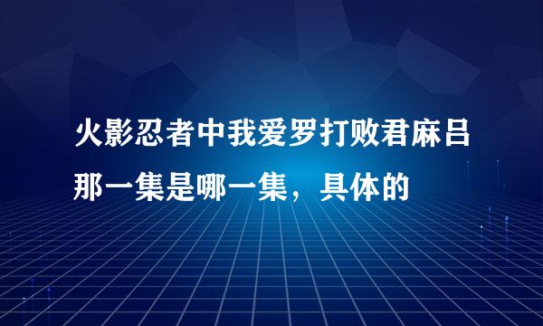 火影忍者中我爱罗打败君麻吕那一集是哪一集，具体的