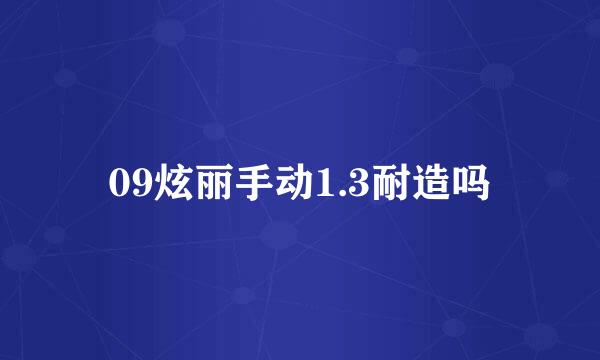 09炫丽手动1.3耐造吗