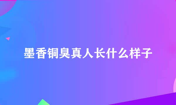 墨香铜臭真人长什么样子