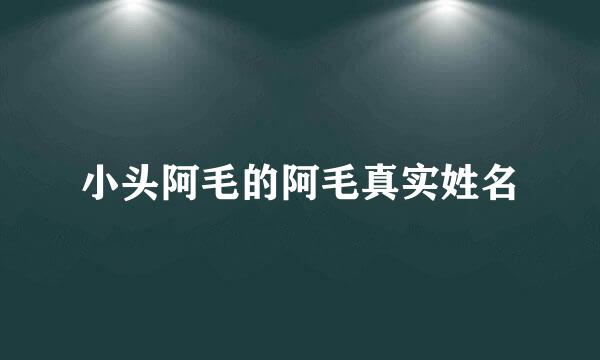 小头阿毛的阿毛真实姓名