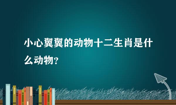 小心翼翼的动物十二生肖是什么动物？