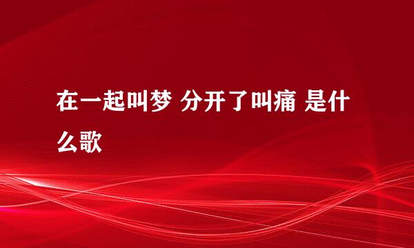 在一起叫梦 分开了叫痛 是什么歌