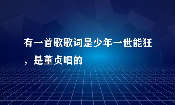 有一首歌歌词是少年一世能狂，是董贞唱的