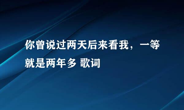 你曾说过两天后来看我，一等就是两年多 歌词