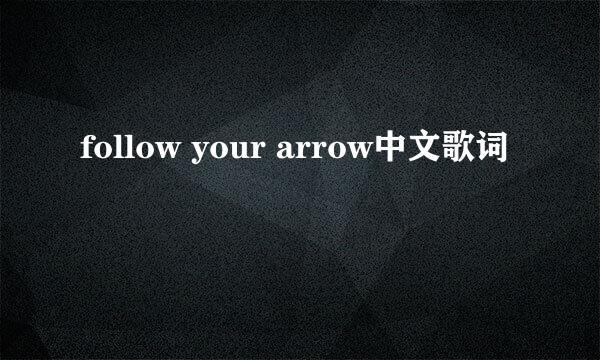 follow your arrow中文歌词