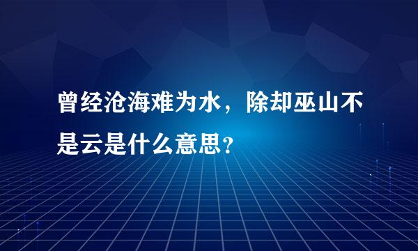 曾经沧海难为水，除却巫山不是云是什么意思？