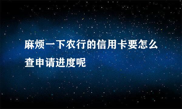 麻烦一下农行的信用卡要怎么查申请进度呢