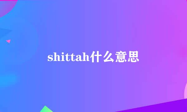 shittah什么意思