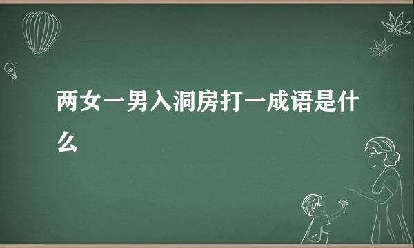 两女一男入洞房打一成语是什么