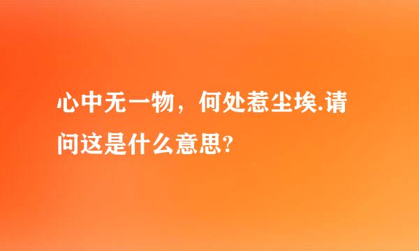 心中无一物，何处惹尘埃.请问这是什么意思?