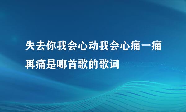 失去你我会心动我会心痛一痛再痛是哪首歌的歌词