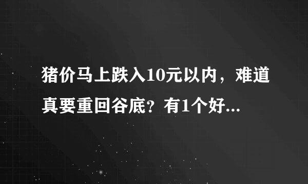 猪价马上跌入10元以内，难道真要重回谷底？有1个好消息要涨了！