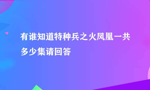 有谁知道特种兵之火凤凰一共多少集请回答