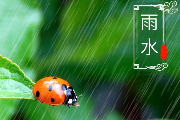 雨水的含义是什么意思?