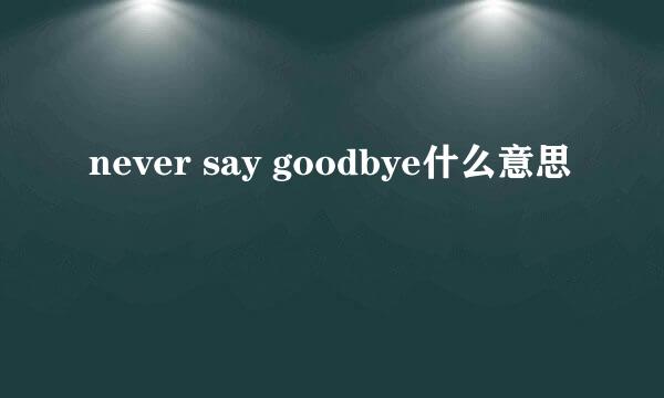 never say goodbye什么意思