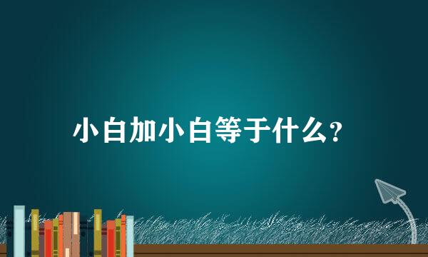 小白加小白等于什么？