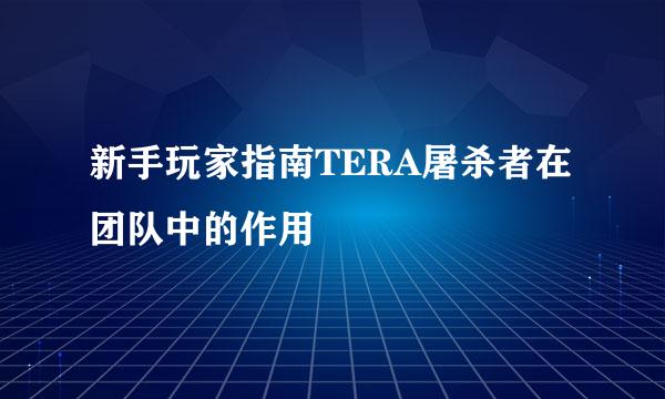 新手玩家指南TERA屠杀者在团队中的作用