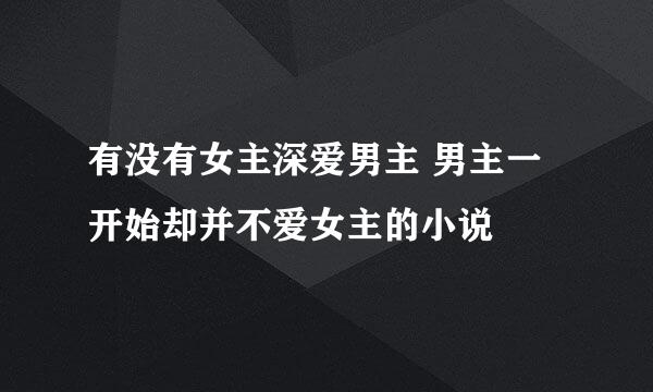 有没有女主深爱男主 男主一开始却并不爱女主的小说