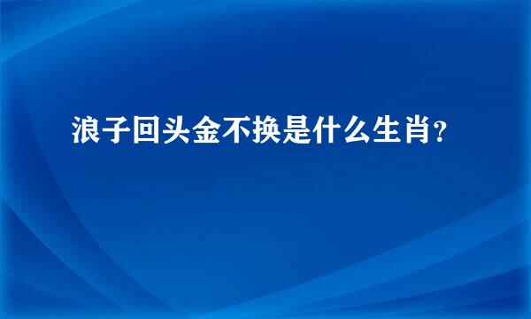 浪子回头金不换是什么生肖？