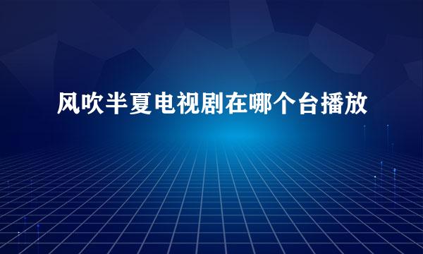 风吹半夏电视剧在哪个台播放