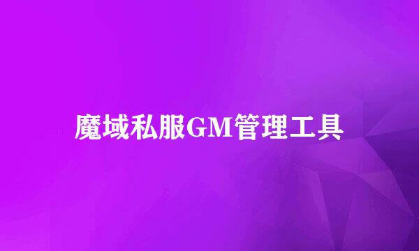 魔域私服GM管理工具