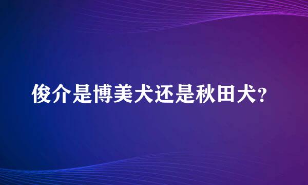 俊介是博美犬还是秋田犬？