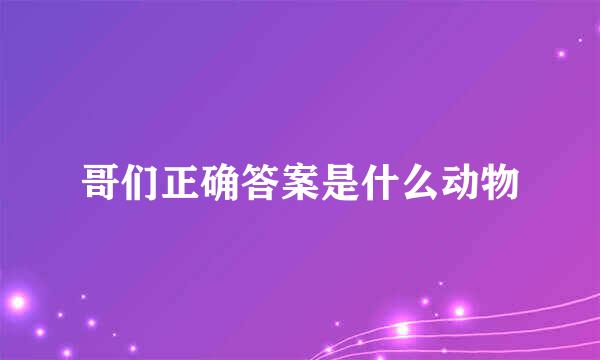 哥们正确答案是什么动物