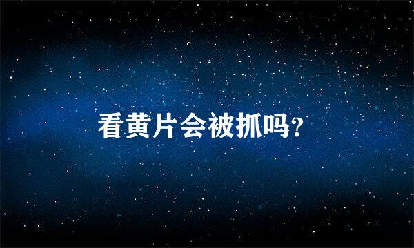 看黄片会被抓吗？