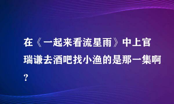 在《一起来看流星雨》中上官瑞谦去酒吧找小渔的是那一集啊？