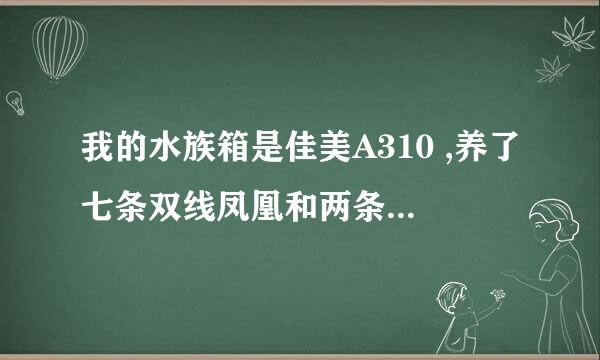 我的水族箱是佳美A310 ,养了七条双线凤凰和两条清道夫，清道夫老是喜欢趴在过滤器上面，这样没关系吗？