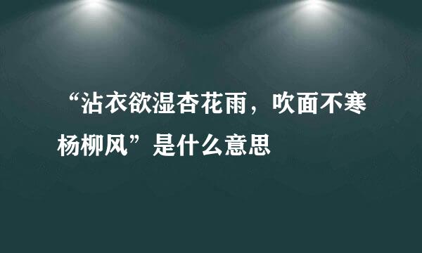 “沾衣欲湿杏花雨，吹面不寒杨柳风”是什么意思