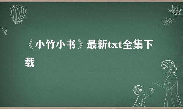 《小竹小书》最新txt全集下载