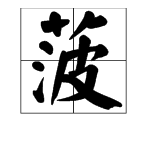 “菠萝”的“菠”字的组词有哪些？