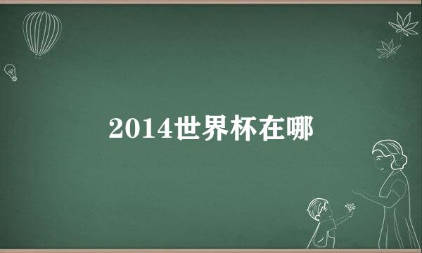 2014世界杯在哪