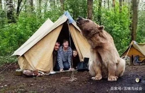 西藏幼童失踪后，离奇现身海拔4600米陡峭山顶，幼童为何会出现在山顶？