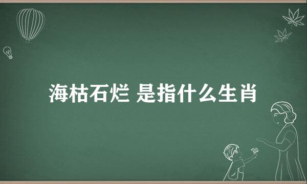 海枯石烂 是指什么生肖