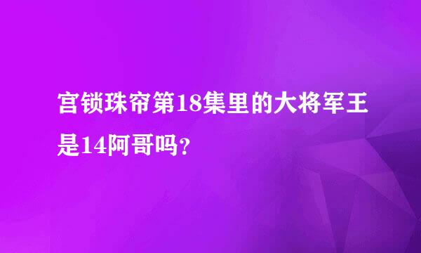 宫锁珠帘第18集里的大将军王是14阿哥吗？