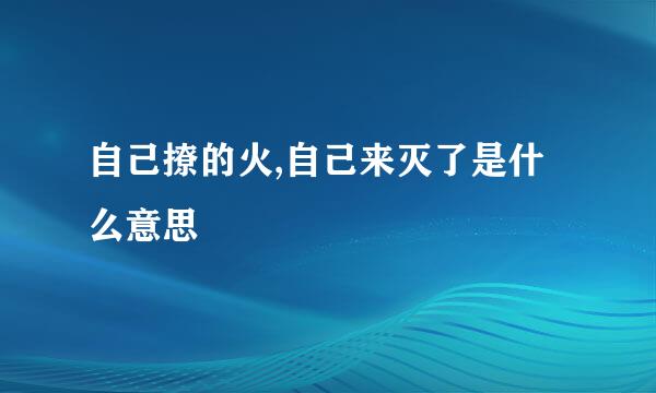 自己撩的火,自己来灭了是什么意思