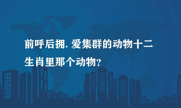 前呼后拥. 爱集群的动物十二生肖里那个动物？