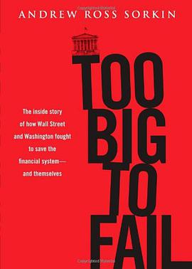 《Too Bigto Fail Bigto Fail》txt下载在线阅读全文,求百度网盘云资源