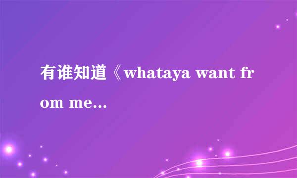 有谁知道《whataya want from me》的中文意思？